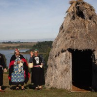 Ruka Terre Mapuche