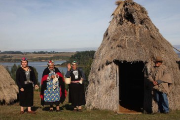 Ruka Terre Mapuche
