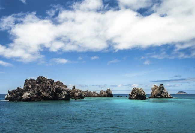 Devil's Crown Is Considered One Of The Best Places For Snorkeling In The Galapagos Islands. It Is Close To Floreana Island, Off The Coast Of Punta Cormorant,
