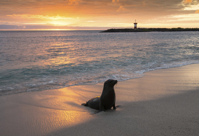 Iles Enchantées SLIDE 7 Coucher De Soleil Galapagos Bis Copy