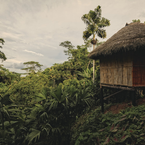 Yasuni Lodge