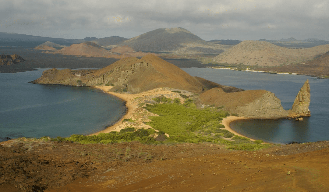 Galápagos, le paradis de Darwin