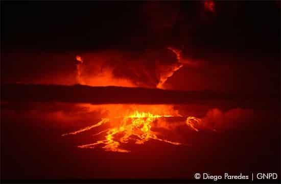 Eruption Volcan Wolf  Photo : Diego Paredes/GNPD