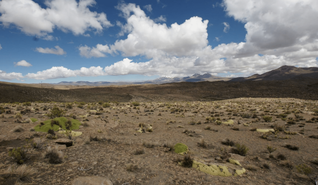 Arica, atypique et fiévreuse