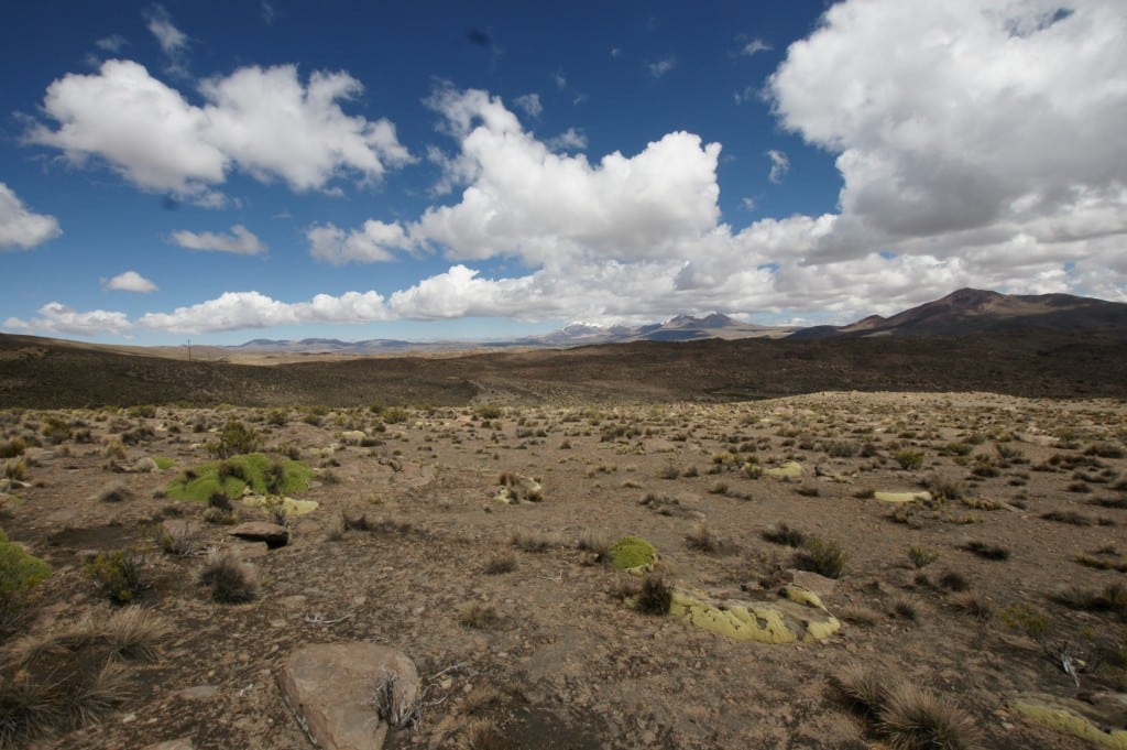 Altiplano chilien