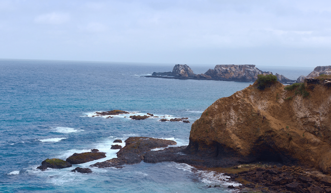 L’île de la Plata, petite Galápagos