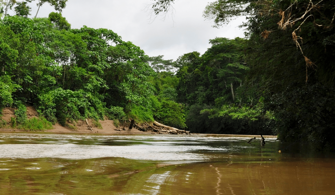 UNE NUIT EN AMAZONIE ENTRE AMIS