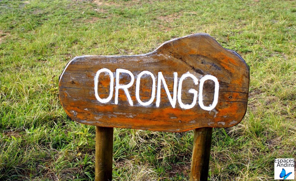 Le site cérémonial d'Orongo / Photo : Espaces Andins