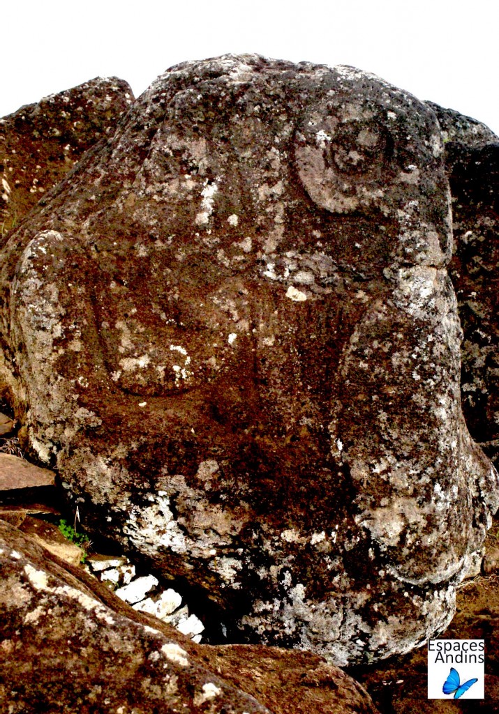 Pietroglyphes Orongo, Ile de Pâques / Photo : Espaces Andins