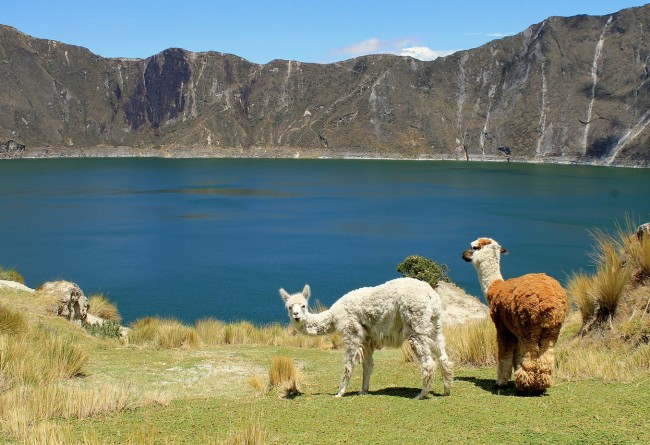 La Lagune Quilotoa En Equateur