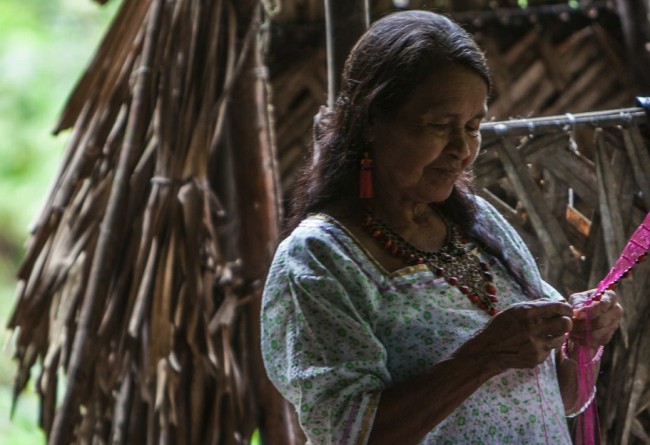 Visite Lors De La Croisière Manatee En Amazonie Equatorienne