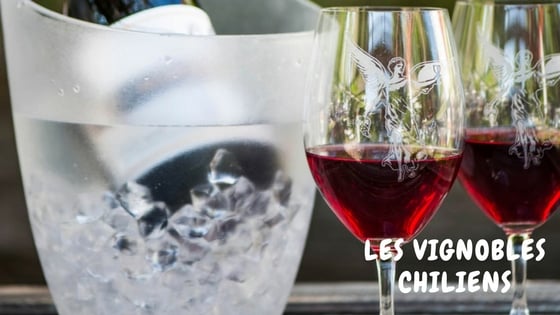 Article Blog Sur Les Vignobles Chiliens