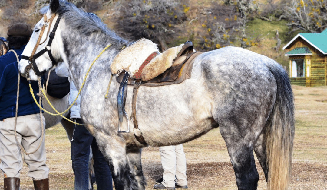 3 activités d’aventure lors d’un voyage dans la région de Magallanes au Chili