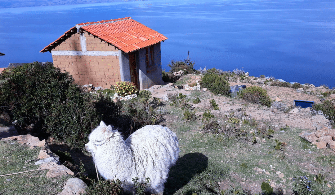 Pourquoi j’ai adoré la Isla del Sol en Bolivie ?