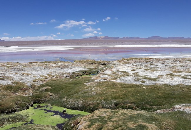 Paysages Colorés Sud Lipez En Bolivie