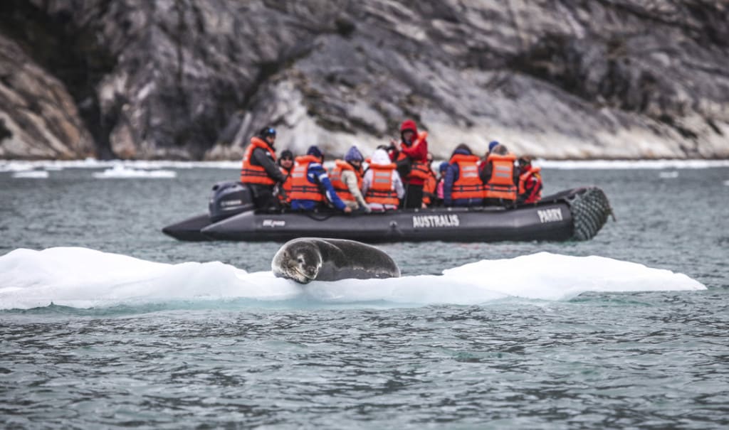 débarquement en bateau zodiac en terre de feu