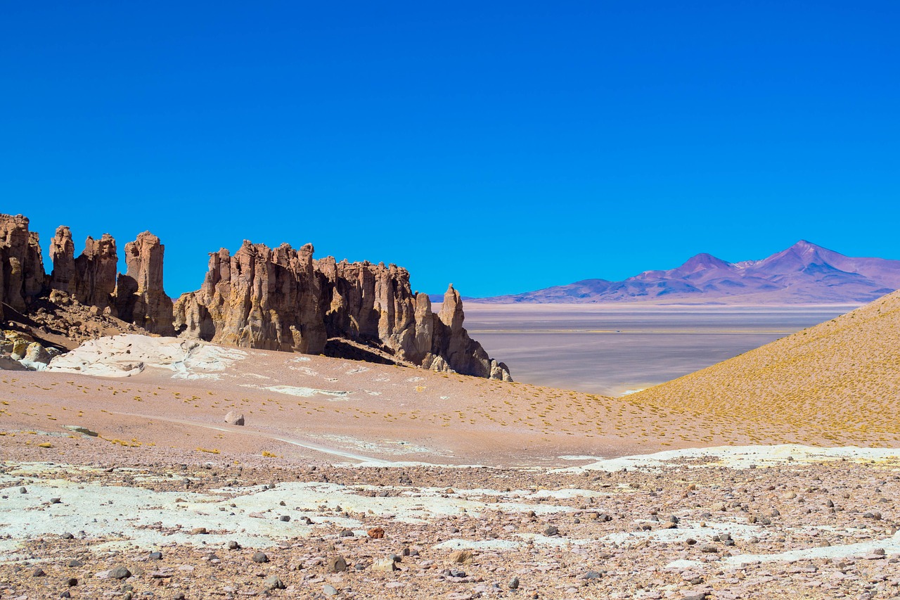 CHILI, PATAGONIE ET DESERT D’ATACAMA