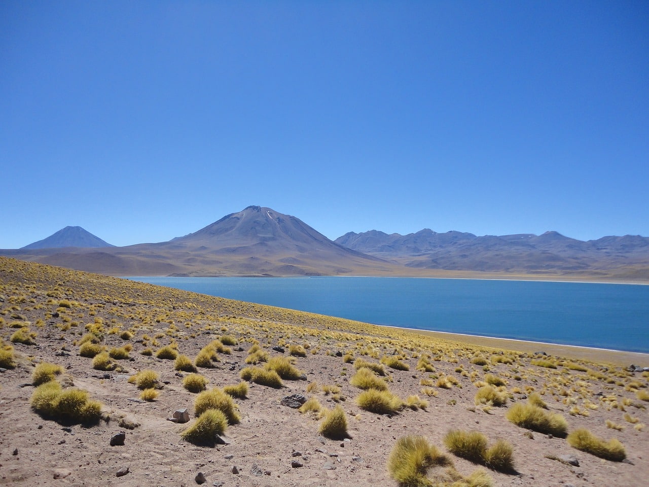 Lagune Altiplanique San Pedro Atacama Chili