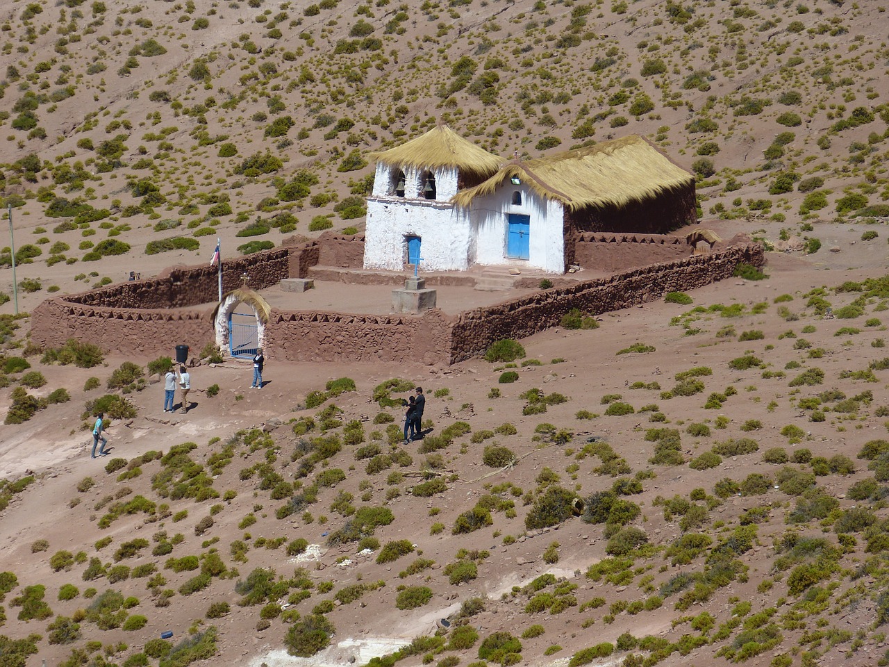 Mâchura Dans Le Désert Atacama Voyage Espaces Andins