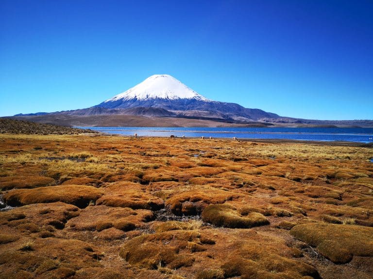 Paysage de montagne enneigée sous un ciel bleu à Putre, Arica y Parinacota, Chili : Une vue époustouflante de ce champ brun contrastant avec la montagne enneigée, offrant une expérience mémorable des paysages de la région. Photographe : Jorge Montesinos - Unsplash