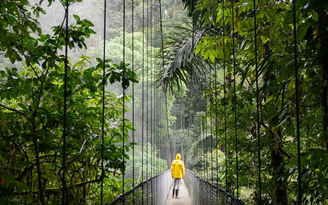 Auto-tour splendeurs du Costa Rica