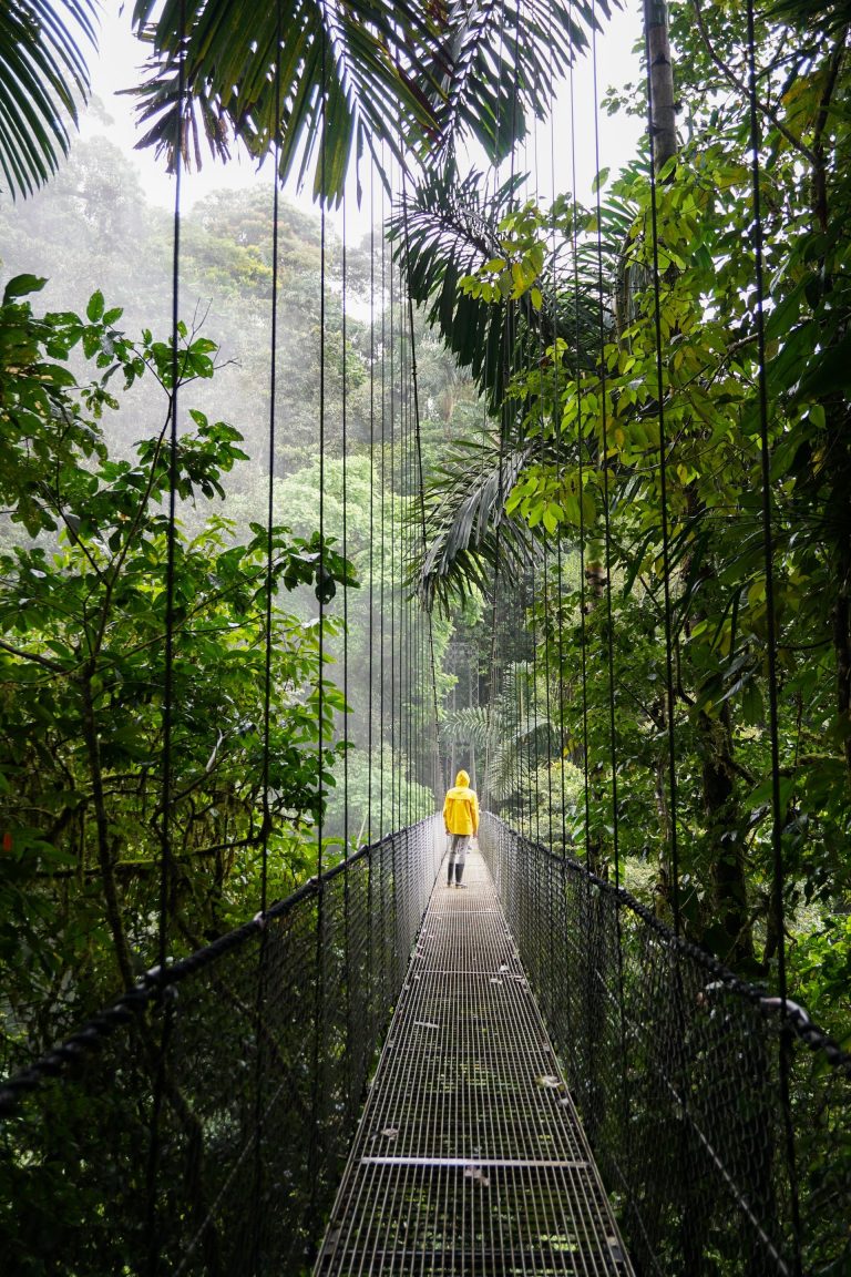 Impressionnant pont suspendu à La Fortuna, Province d'Alajuela, San Carlos, Costa Rica, au milieu de la nature luxuriante. Photographe : Selina Bubendorfer - Unsplash