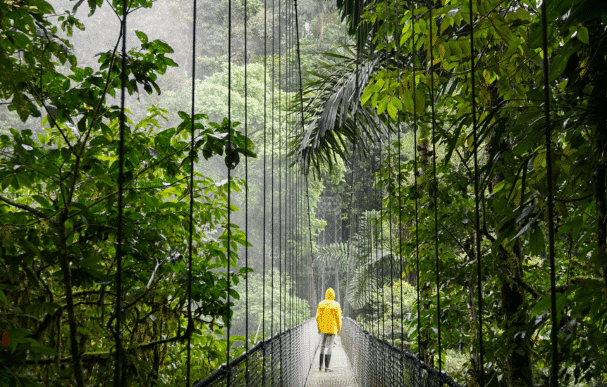 Un magnifique pont suspendu au-dessus de la canopée de la jungle du Costa Rica, une expérience inoubliable au cœur de la nature exubérante de ce pays d'Amérique centrale. Photographe : Selina Bubendorfer - Unsplash