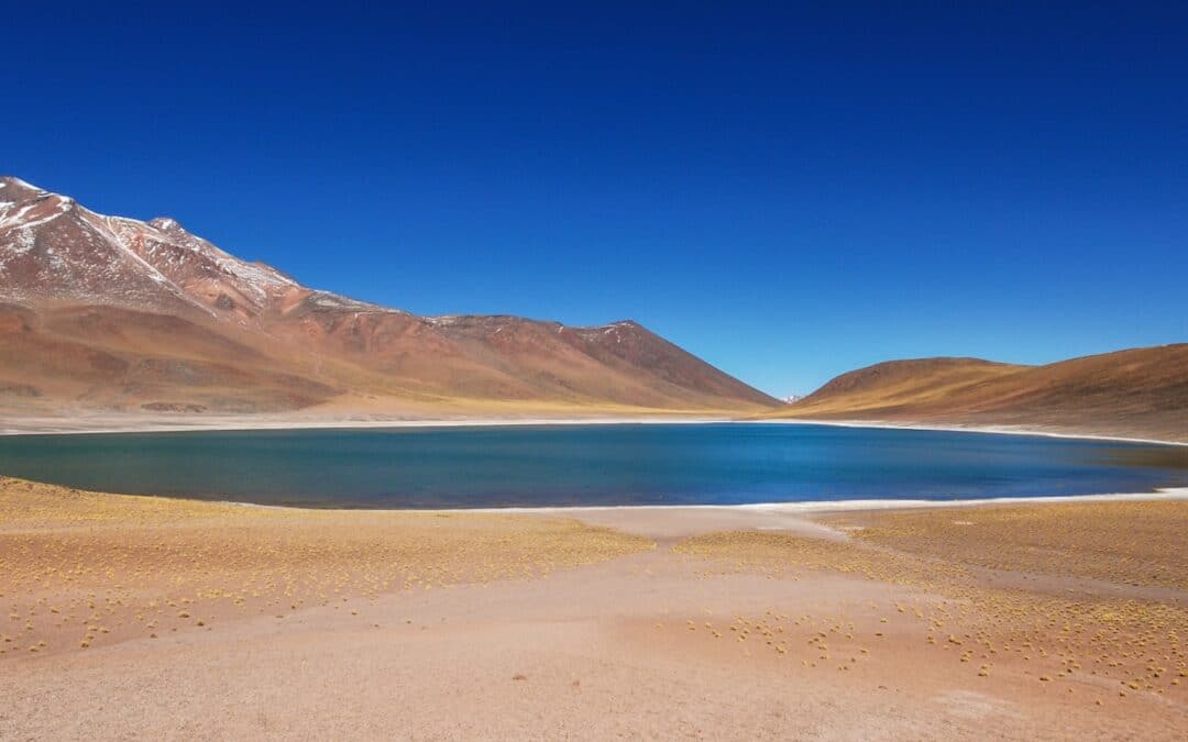 Circuit individuel volcans, lagunes et salar au chili